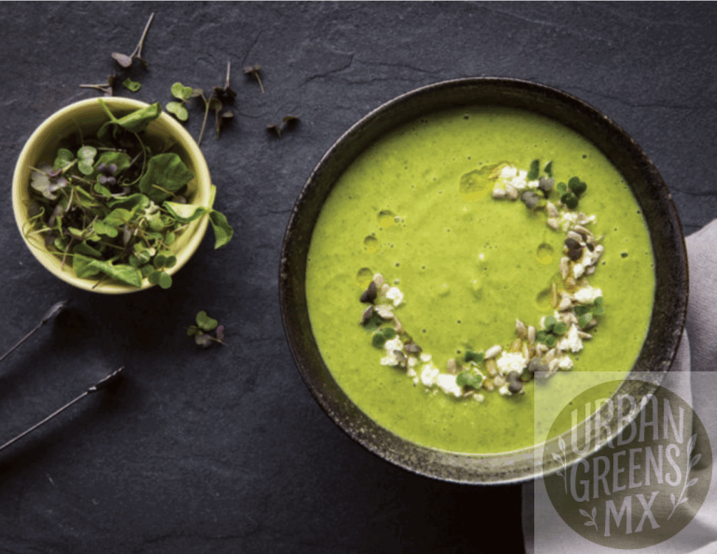 Crema-Microgreen-Brocoli_Asado Crema de Microgreens de Brocoli Asado