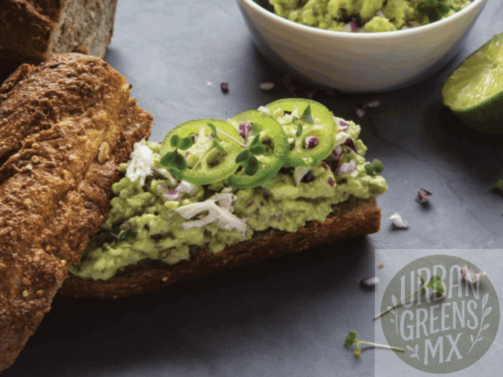 Guacamole-Girasol Guacamole de Microgreen de Girasol