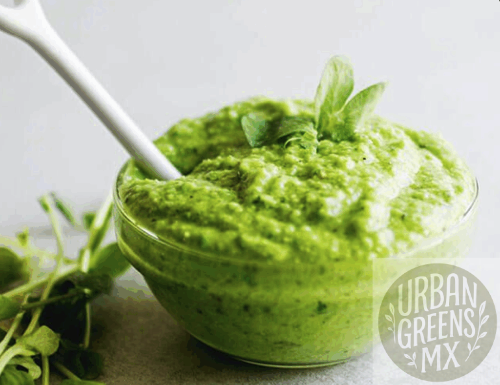 Pesto-Microgreen-Chicharo Pesto Microgreen Chicharo