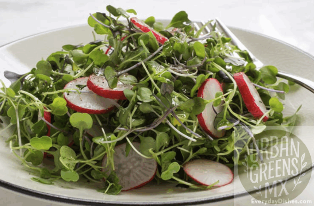 ensalada-microgreens-vinagreta-lima Ensalada de Microgreens con Vinagreta de Lima