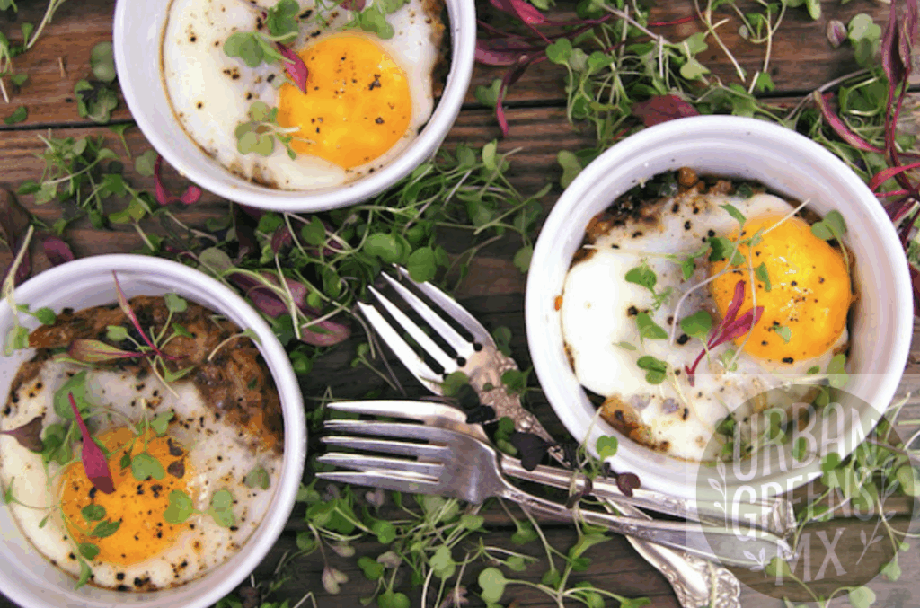 hash-brown-caserola-tocino-microgreens Cazuela de Hash Brown con Tocino y Huevos