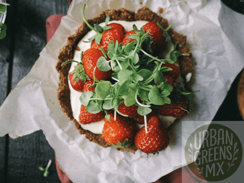 minitarta-queso-cabrafresa-microgreen Minitarta de fresa y chocolate con queso de cabra batido y Microgreens de Albahaca