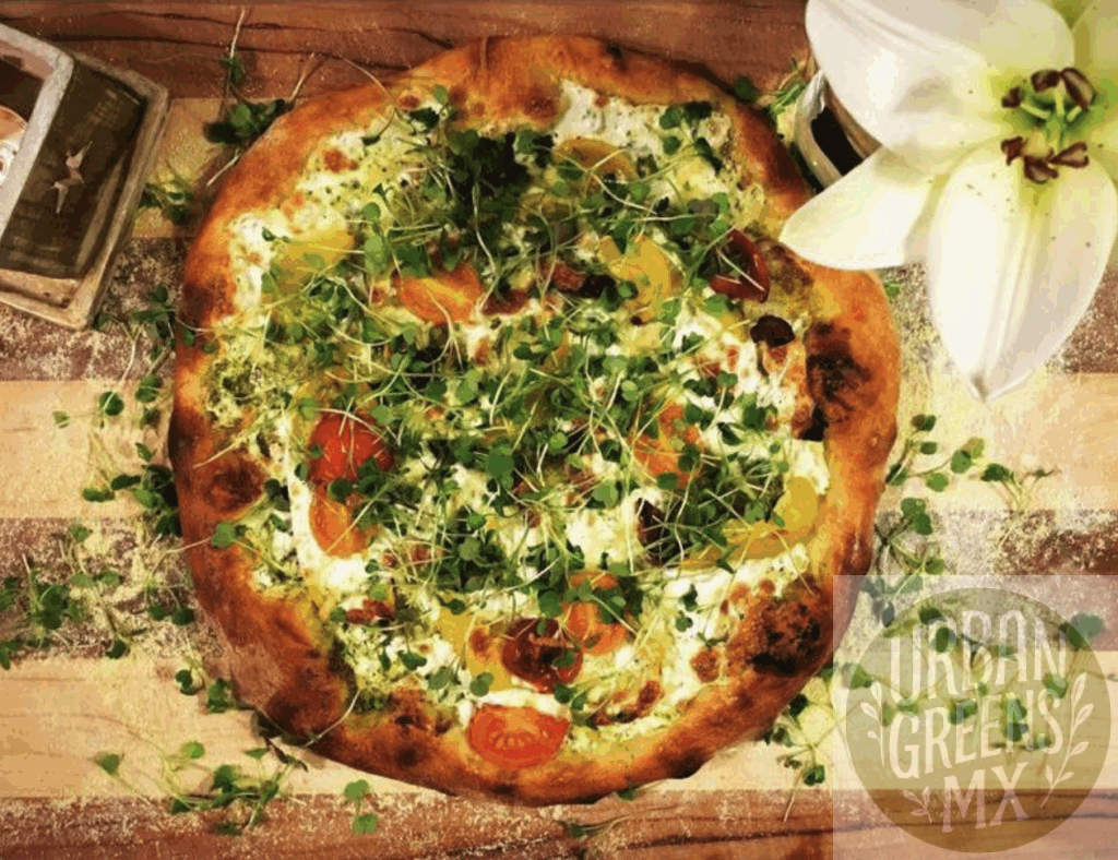 pizza-pesto-microgreen Pizza Pesto Mozzarella y Microgreens de Arugula