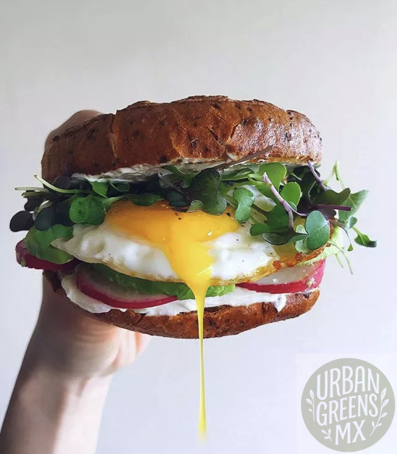 sandwich-bagel-con-todo Sandwich de Bagel con Microgreens