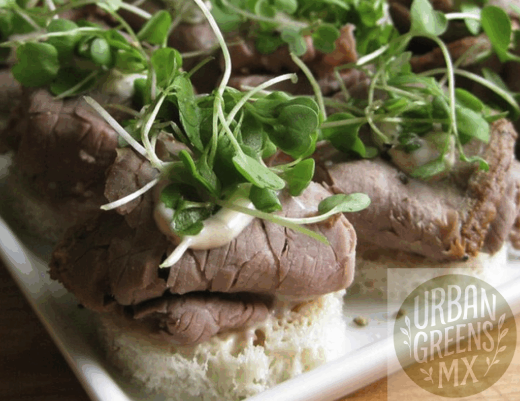 sandwich-roast-beef-microgreens Bocadillos de Te de Roast Beef