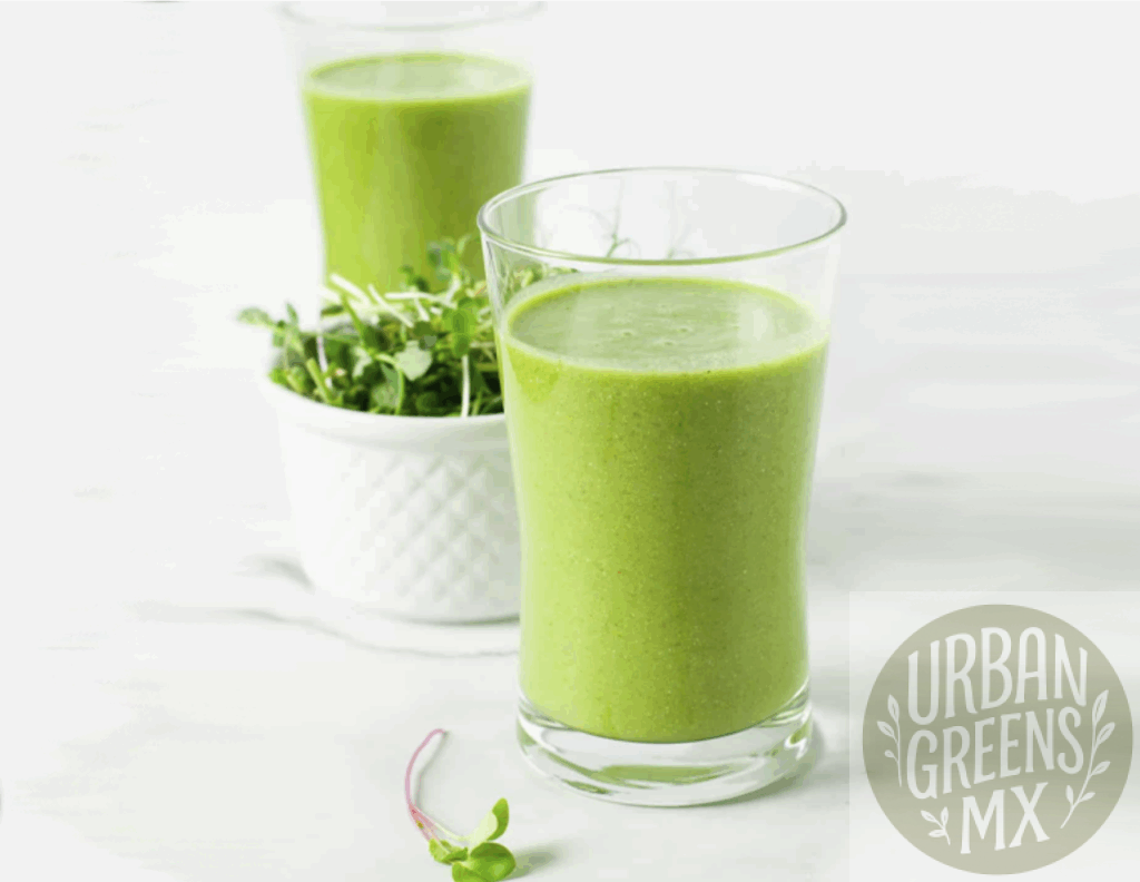 smoothie-verde-naranja-microgreens Smoothie Verde de Piña y Naranja con Microgreens.
