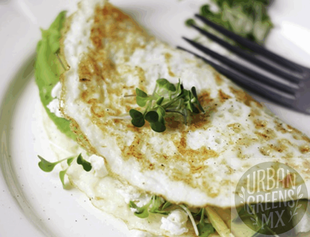 tortilla-huevo-microgreens-queso-feta Tortilla de claras de huevo con aguacate, queso de cabra y microgreens