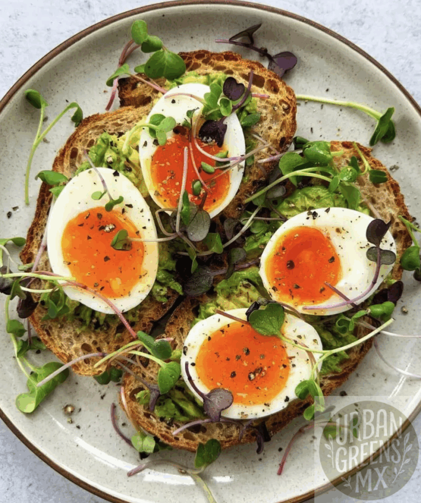 tostada-microgreens-huevo Tostada Aguacate con Microgreens y Huevo